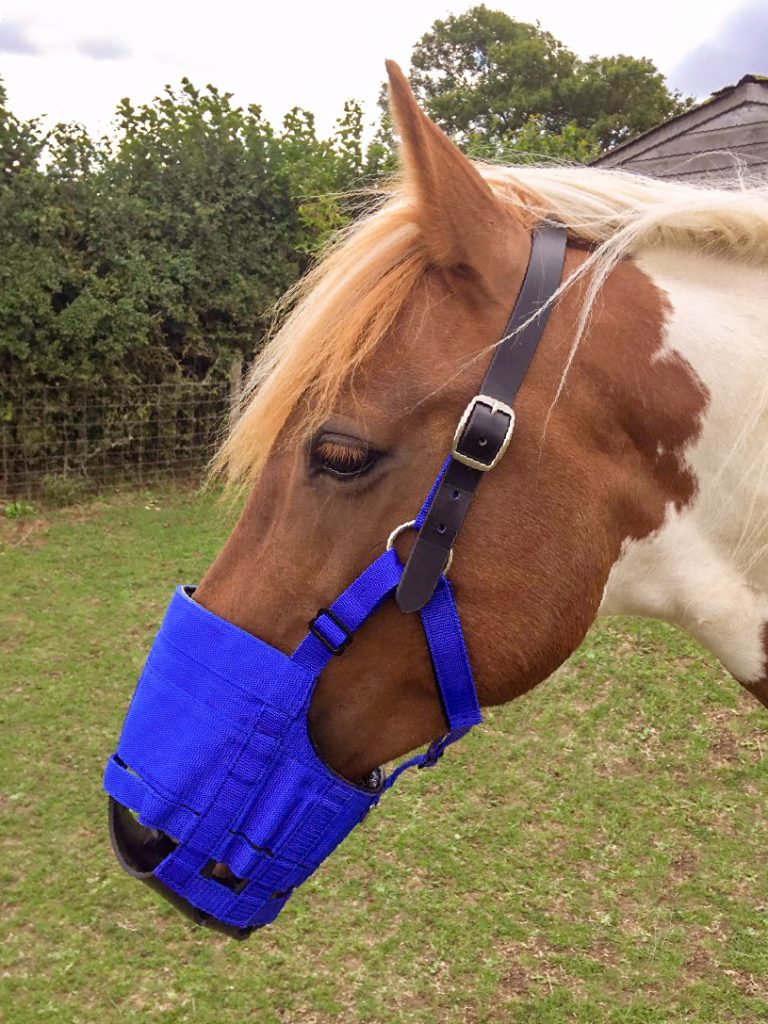 'The Ultimate Muzzle' grazing muzzle. Country Naturals